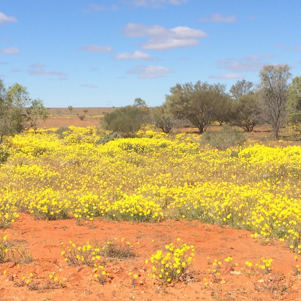 Wallaby Tracks Adventure Tours | 6 Railway Terrace, Quorn SA 5433, Australia | Phone: (08) 8648 6655