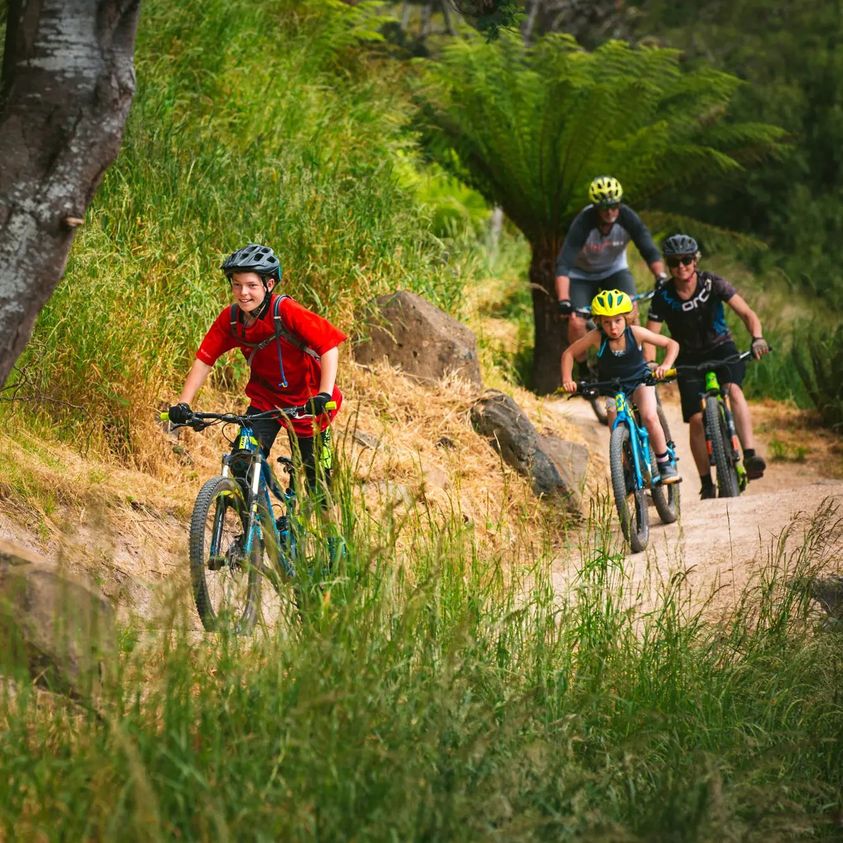 MTB Express | 76 Main St, Derby TAS 7264, Australia | Phone: 0487 379 643