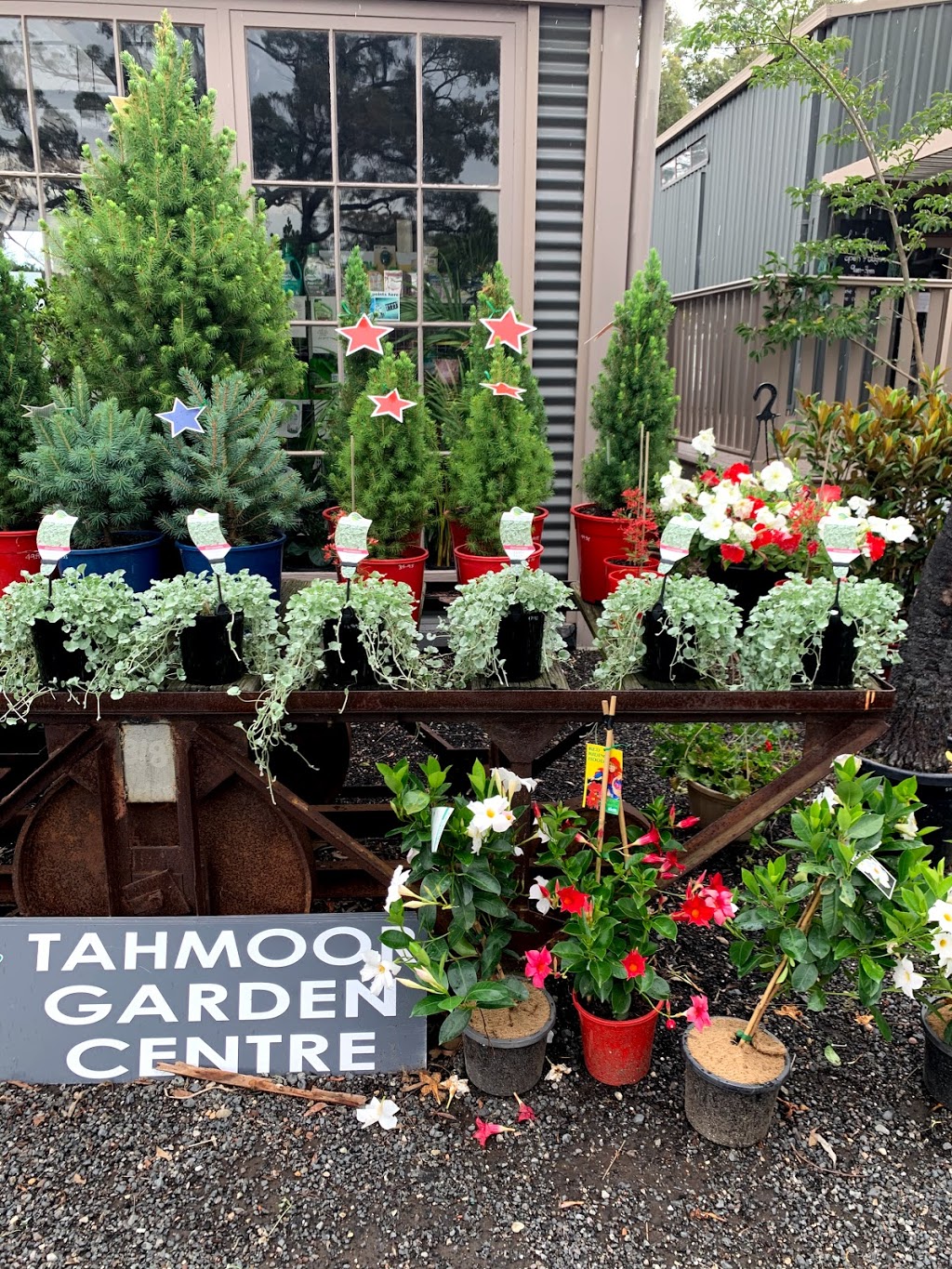 Tahmoor Garden Centre | 3070 Remembrance Dr, Bargo NSW 2574, Australia | Phone: (02) 4684 2000