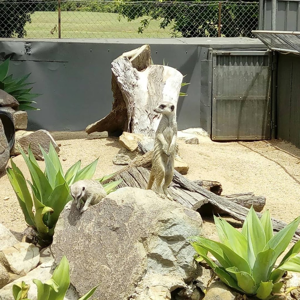 Wildlife HQ | zoo | 76 Nambour Connection Rd, Woombye QLD 4559, Australia | 0428660671 OR +61 428 660 671