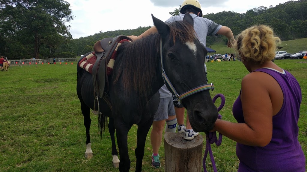 Fur & Feathers Rescue Farm - Mandalong | 716 Mandalong Rd, Mandalong NSW 2264, Australia | Phone: 0426 835 233
