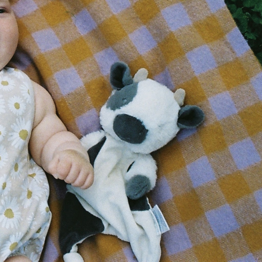 The Moments Between - 35mm film photography | 936 Allambee-Childers Rd, Childers VIC 3824, Australia | Phone: 0403 643 013