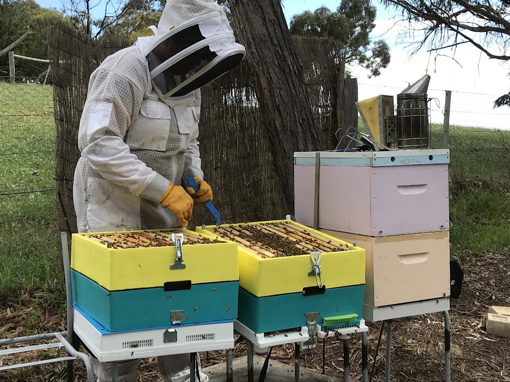 Arthurs Creek Bees and Honey | Arthurs Creek Rd, Arthurs Creek VIC 3099, Australia | Phone: 0419 567 308