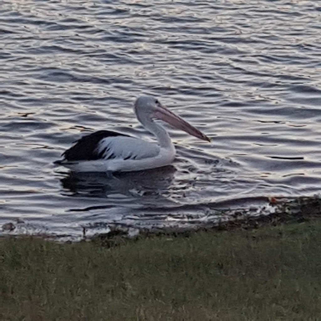 Wivenhoe Boat Ramp 1 | gym | Lake Wivenhoe QLD 4312, Australia