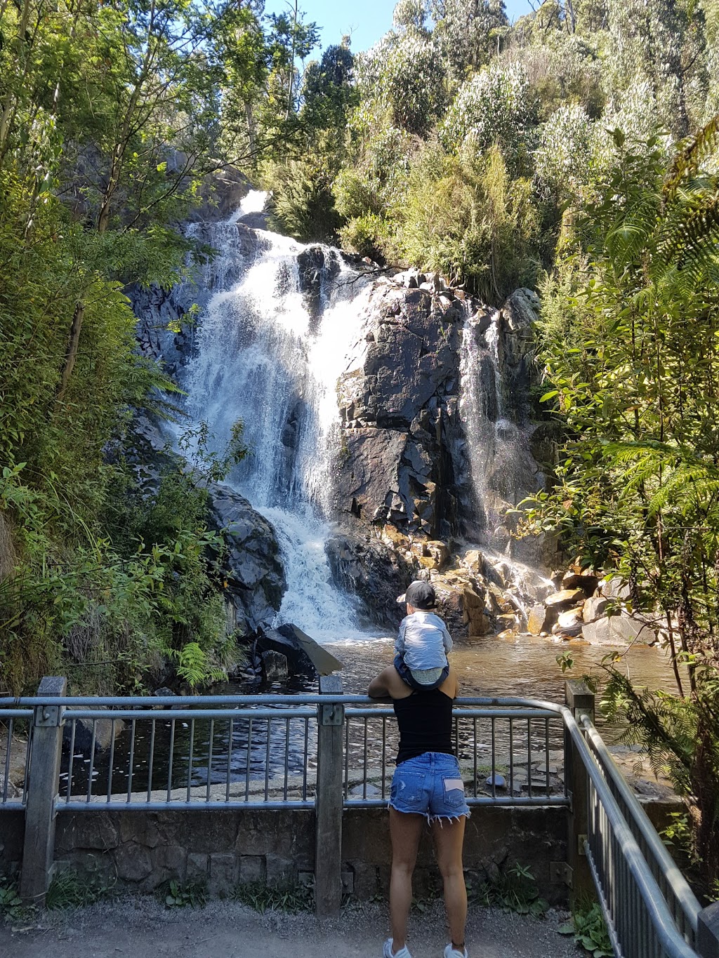 Steavenson Falls Reserve | Marysville VIC 3779, Australia | Phone: 13 19 63