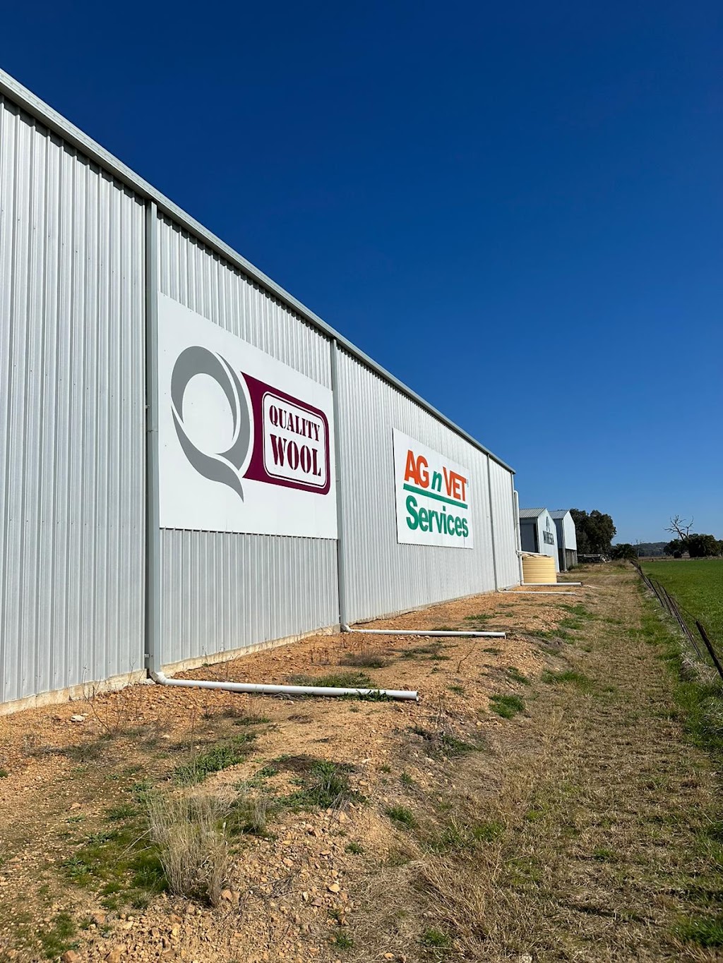 Quality Wool | 19 Gerrybang Rd, Grenfell NSW 2810, Australia | Phone: 0428 638 605