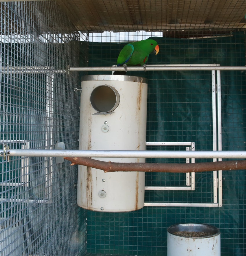 J and N Galea PVC Nest Boxes | pet store | 253-269 Horsley Rd, Horsley Park NSW 2175, Australia | 0411209748 OR +61 411 209 748