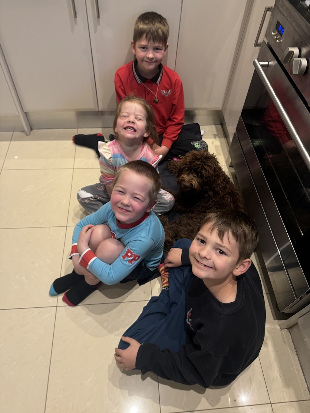 Scawoo Australian Cobberdogs | 6 Wren Ct, Regency Downs QLD 4341, Australia | Phone: 0490 785 514