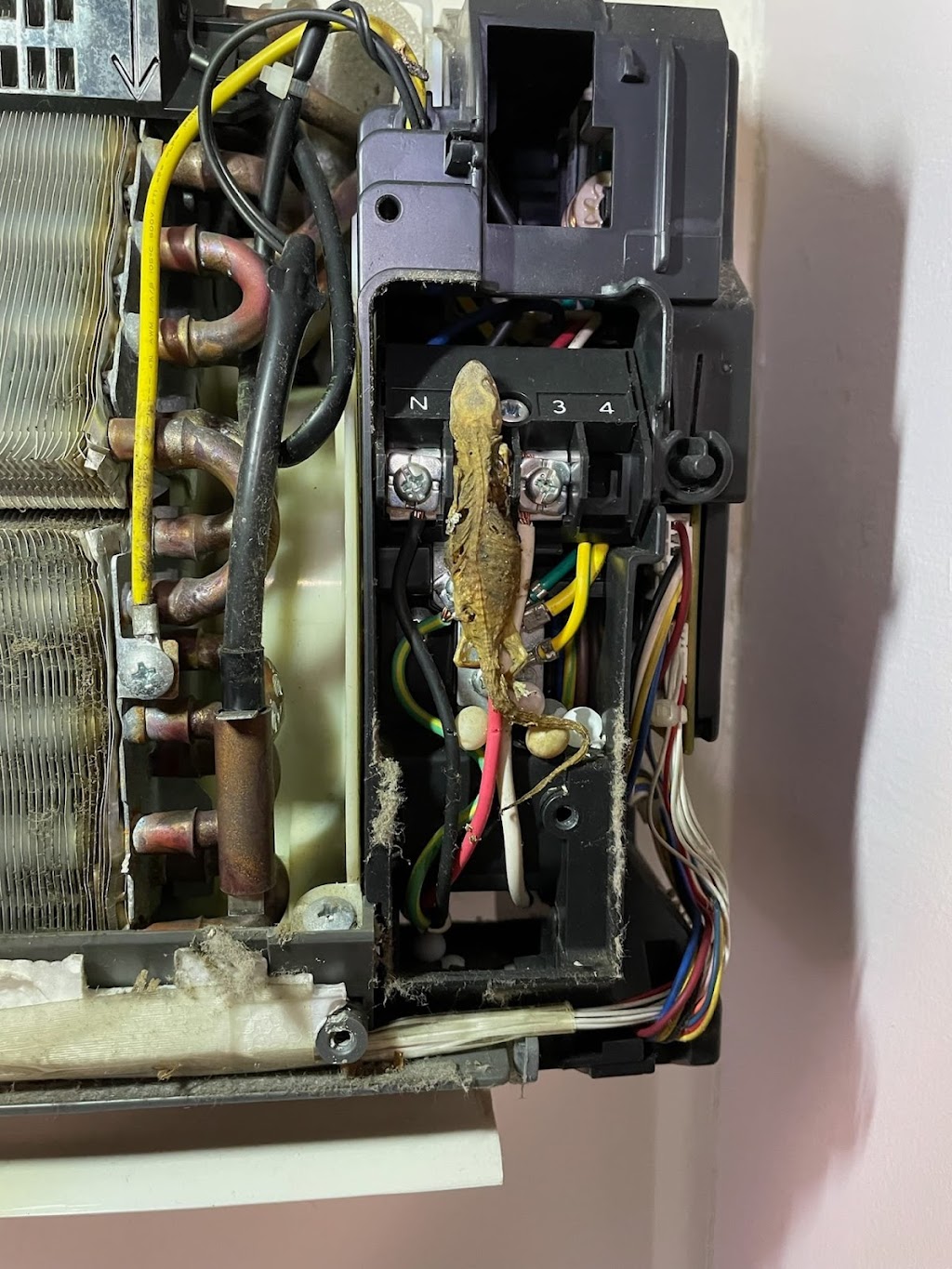 Sanitair Brisbane West - Air Conditioning Cleaning | 301-317 Mona Dr, Jimboomba QLD 4280, Australia | Phone: 1800 130 168