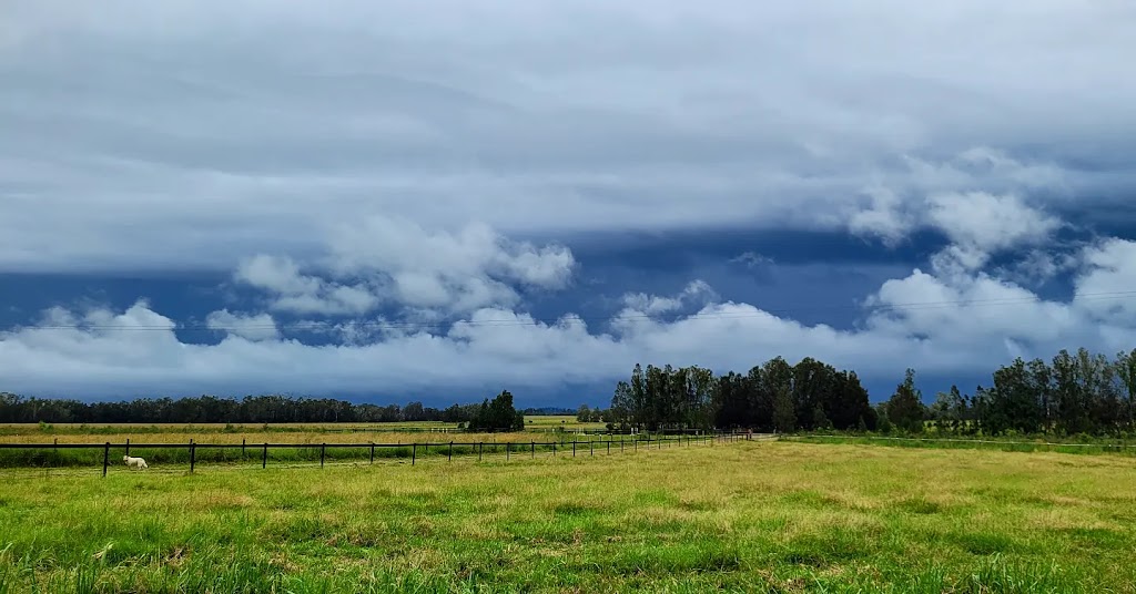 Okey Dokey Farm | Visit by appointment only. Please message to arrange, 144 Flood Reserve Rd, Ruthven NSW 2480, Australia | Phone: 0418 770 508