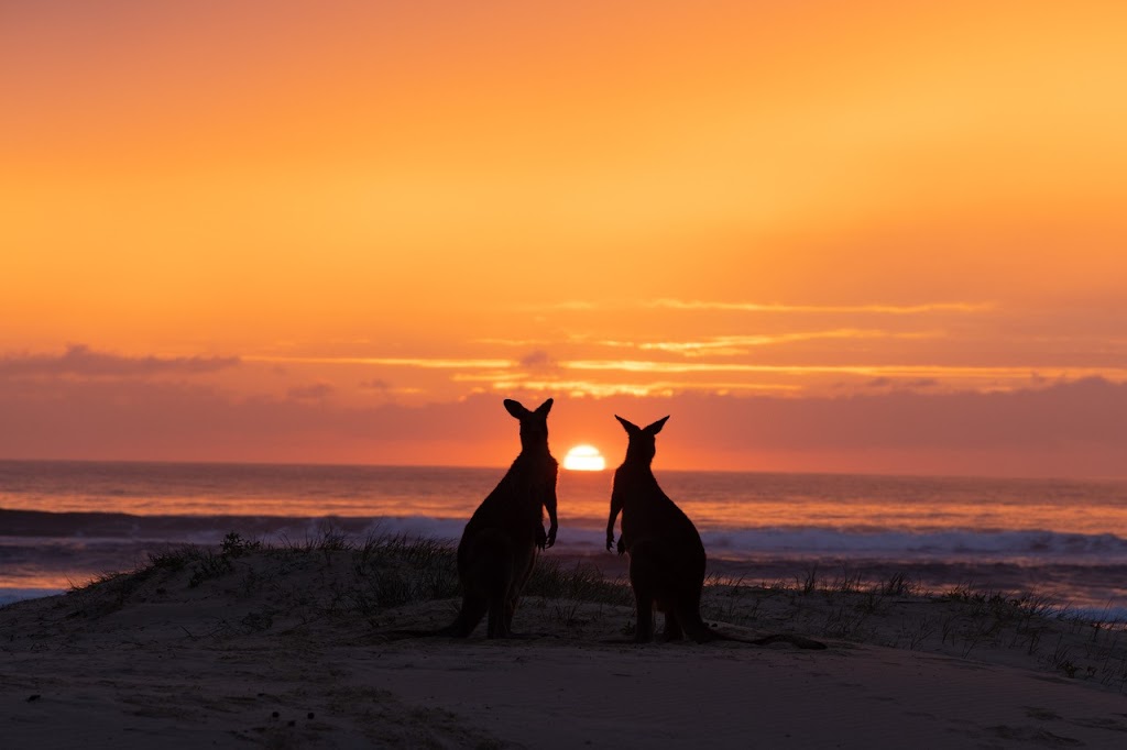 Barefoot Beach Yoga | 375 Blackfellows Point Rd, Potato Point NSW 2545, Australia | Phone: 0427 382 123