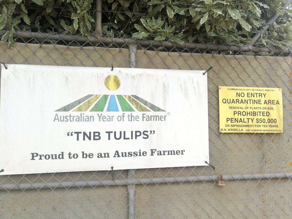 TNB TULIPS | 11 Coulson Rd, Monbulk VIC 3793, Australia | Phone: (03) 9756 6184