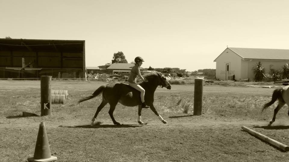 The Humble Horse | N Jindong Rd, Metricup WA 6280, Australia | Phone: 0434 905 675