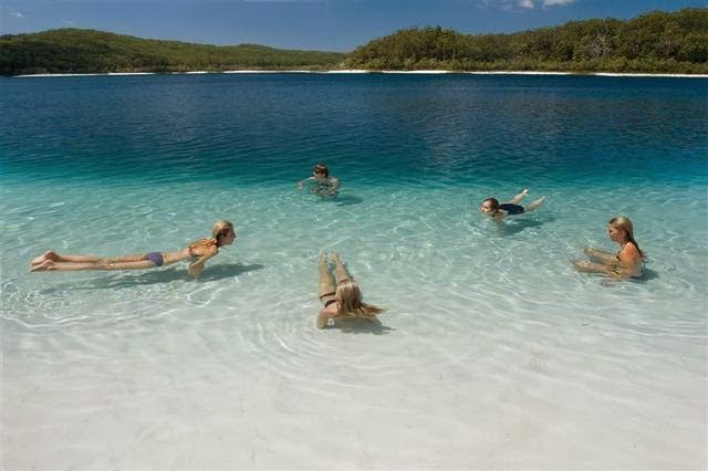 Fraser Island Adventure Tours | Lake Mc Kenzie Road, Fraser Island QLD 4581, Australia | Phone: (07) 5444 6957