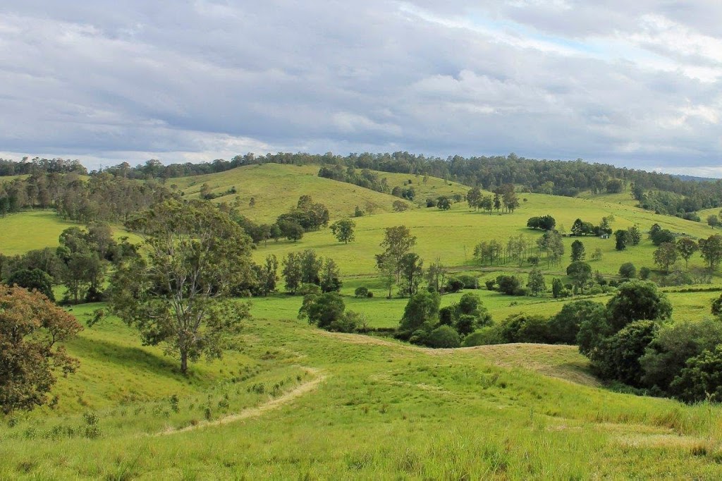 LYNCORANNE ANGUS | food | 616 Theresa Creek Rd, Mummulgum NSW 2469, Australia | 0266647261 OR +61 2 6664 7261