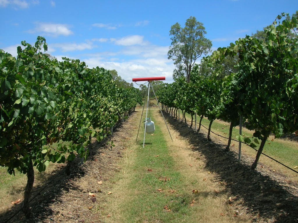 Wombat Crossing Vineyard | 530 Hermitage Rd, Pokolbin NSW 2320, Australia | Phone: (02) 6574 7357