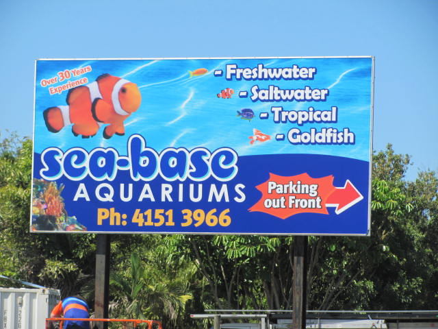 Sea Base Aquariums | aquarium | 67 Bells Rd, Woongarra QLD 4670, Australia | 0741513966 OR +61 7 4151 3966