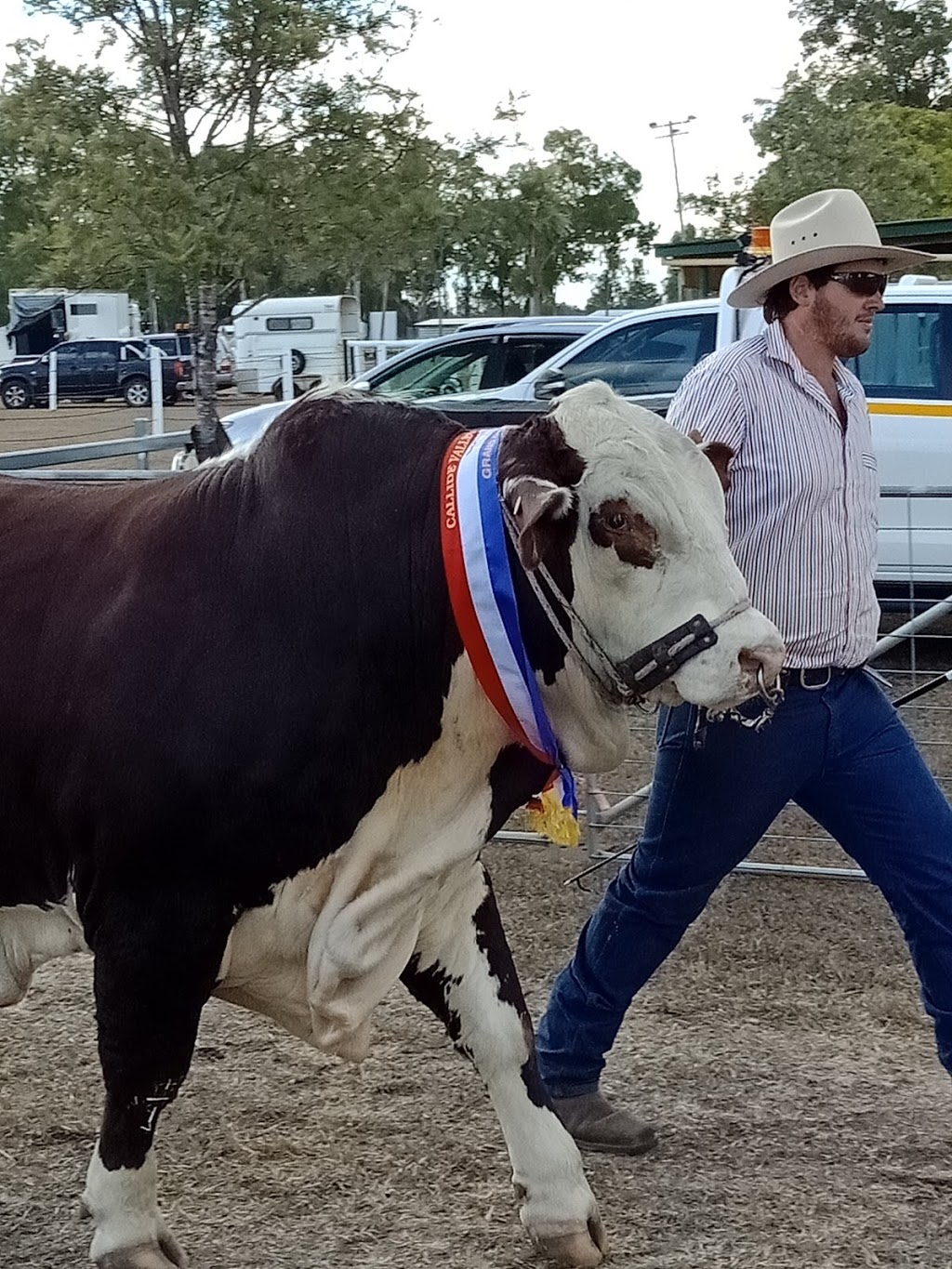 Callide Valley Show Society - 286 Callide St, Biloela QLD 4715, Australia