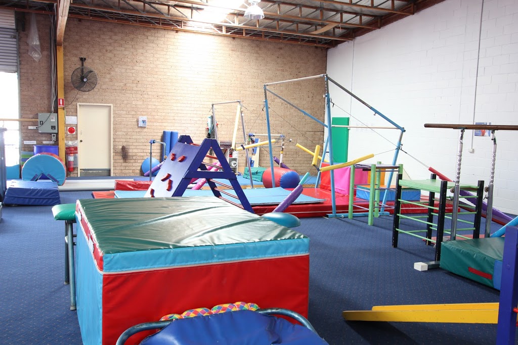 Scallywaggs Gymnastics | gym | 3/9 Brooks Ave, Wyoming NSW 2250, Australia | 0243294100 OR +61 2 4329 4100