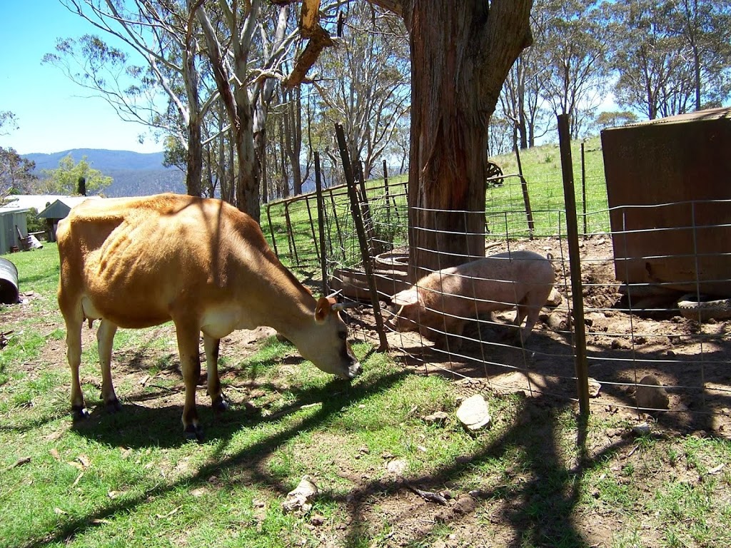 Cheyenne Wilderness Retreat Farmstay | lodging | 2770 Winterbourne Rd, Walcha NSW 2354, Australia | 0267779172 OR +61 2 6777 9172