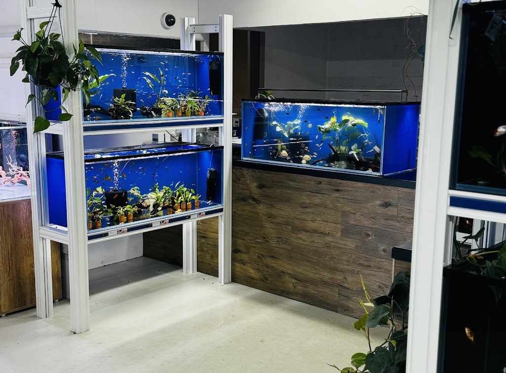 Freshwater Aquariums & Pets | 16 Longfield St, Stawell VIC 3380, Australia | Phone: 0400 927 762