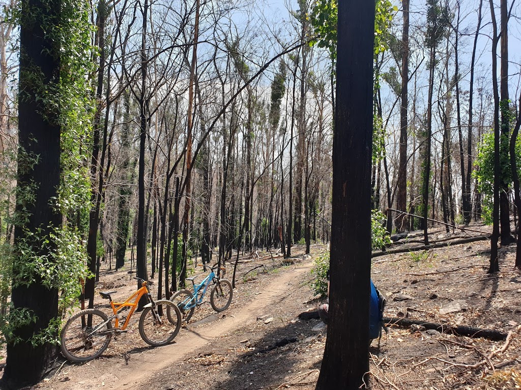 Mountain Bike Trailhead (Bundadung) | university | Tathra Rd, Tathra NSW 2550, Australia
