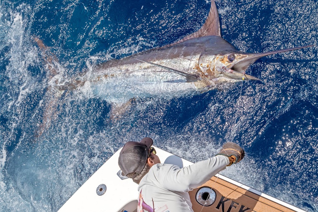 KEKOA Marlin Fishing Charters - Fraser Island | Hervey Bay Boat Club Marina, 1 Buccaneer Dr, Urangan QLD 4655, Australia | Phone: 0428 789 840