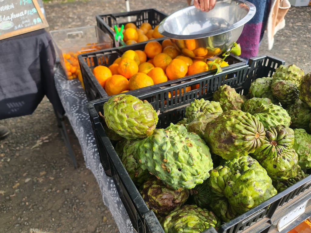 Bangalow Farmers Market | Piccabeen Park, Deacon St, Bangalow NSW 2479, Australia | Phone: 0414 595 169