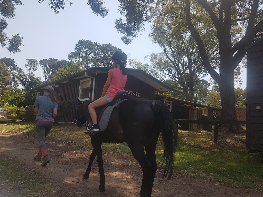 Palomino Riding School | 192 Forest Way, Belrose NSW 2085, Australia | Phone: 0429 131 569