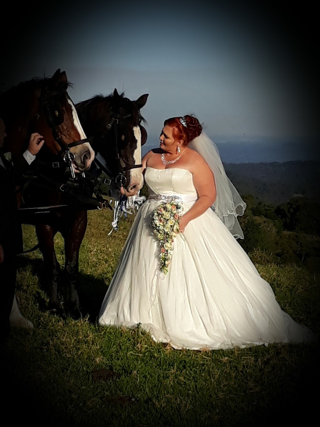 Sunshine Carriages |  | 30 Heilbronn Rd, Jones Hill QLD 4570, Australia | 0754823358 OR +61 7 5482 3358