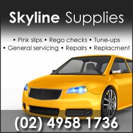 Skyline Supplies PTY Ltd. | car repair | 19 Racecourse Rd, Teralba NSW 2284, Australia | 0249581736 OR +61 2 4958 1736