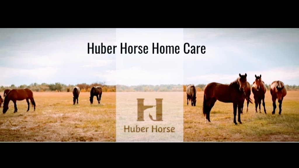 Huber Horse |  | 37-47 Candlebark Rd, Glenlogan QLD 4280, Australia | 0487827773 OR +61 487 827 773