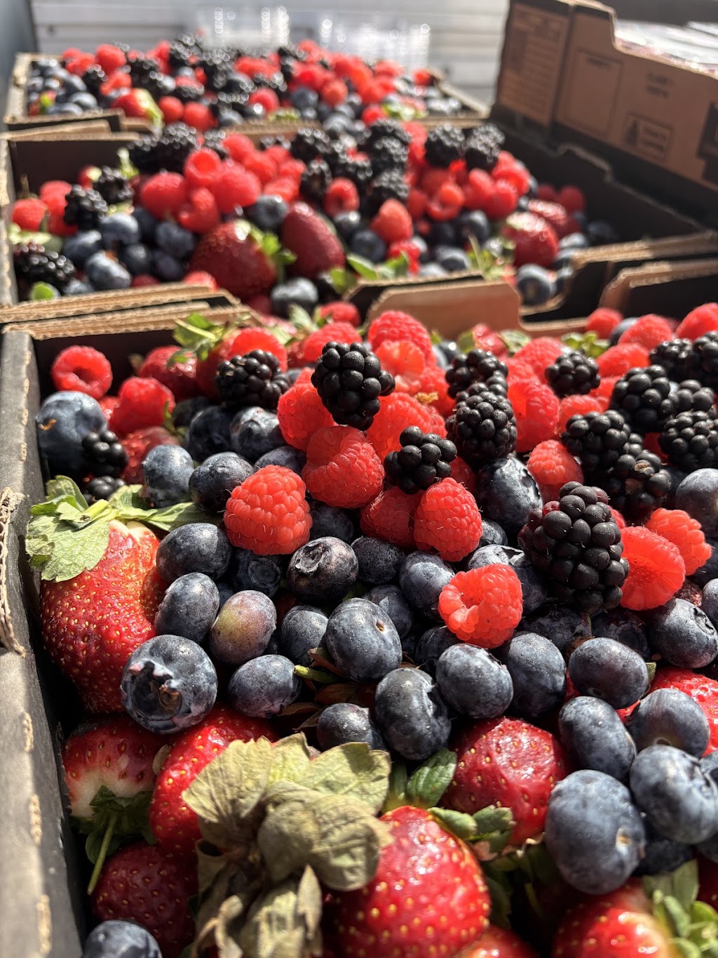 Berry and Blossom Fruit Co | 535 Bells Creek Rd, Bells Creek QLD 4551, Australia | Phone: 0403 467 553