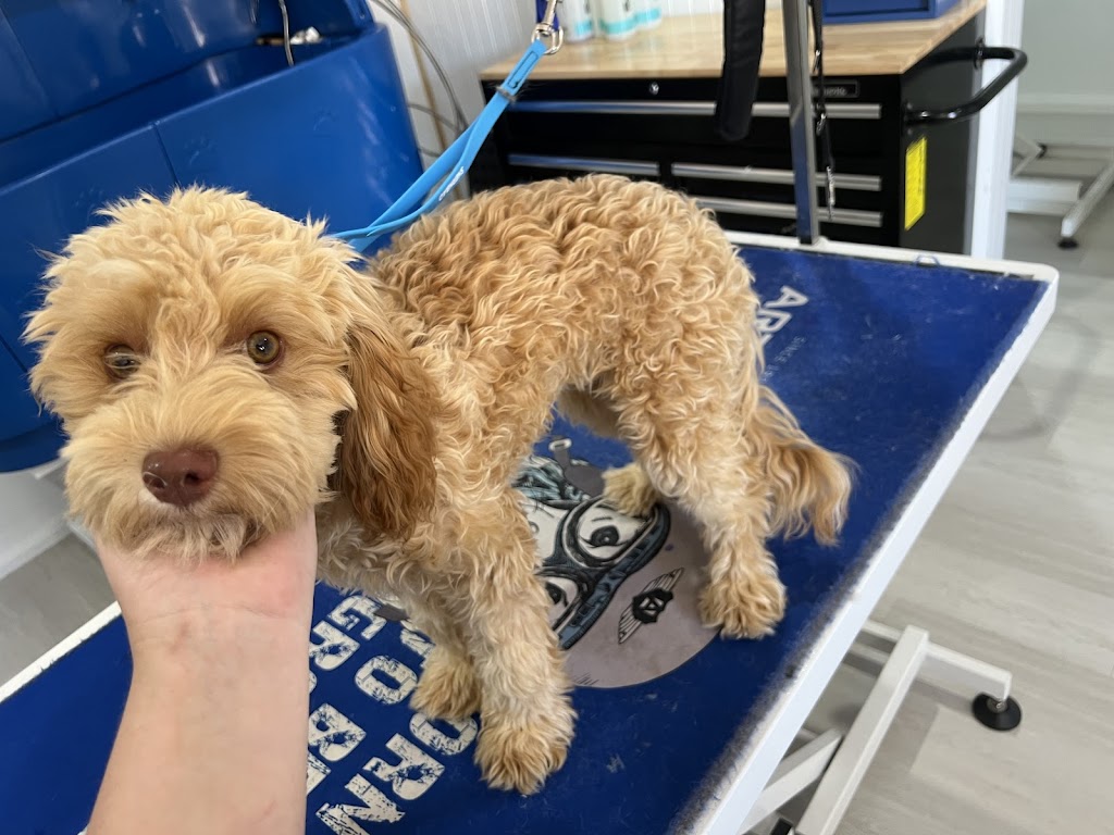 Brixy blues dog grooming | 2 Willis Rd, Leneva VIC 3691, Australia | Phone: 0407 756 150