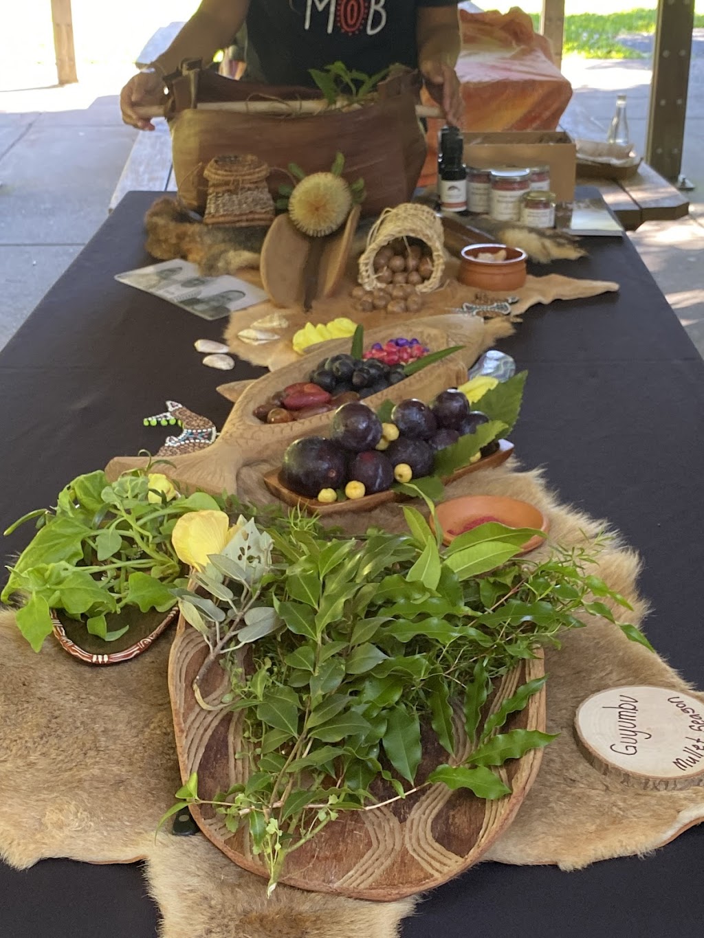 Explore Byron Bay Pty Ltd | Unit 3/10 Ironbark Ave, Byron Bay NSW 2481, Australia | Phone: 0467 277 669