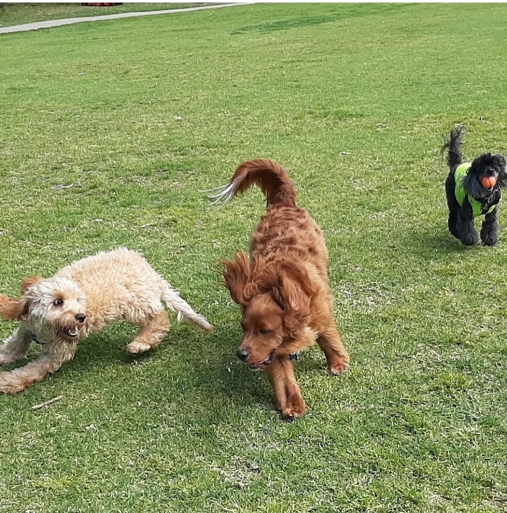 Petpals Dog Walking and Pet Sitting |  | 4 Bronhill Ave, East Ryde NSW 2113, Australia | 0422901748 OR +61 422 901 748