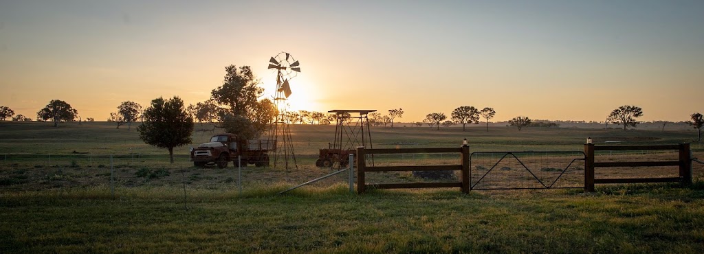 Petrichor Farm |  | 89 Haskins Way, Gundaroo NSW 2620, Australia | 0412492192 OR +61 412 492 192