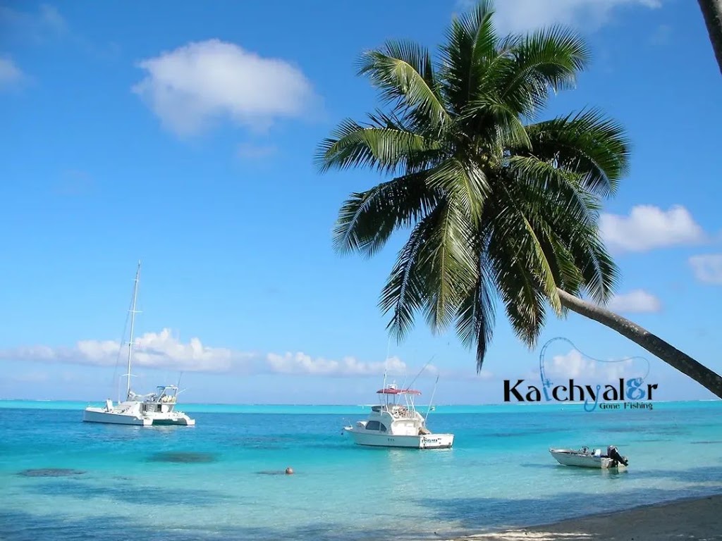 KatchyaL8r Gone Fishing | Yakapari Seaforth Rd, Seaforth QLD 4740, Australia | Phone: 0457 817 767