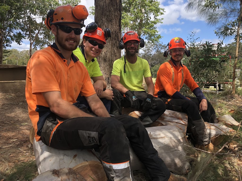 Tree Fix | 212 Wappa Falls Rd, Yandina QLD 4561, Australia | Phone: 0439 724 013