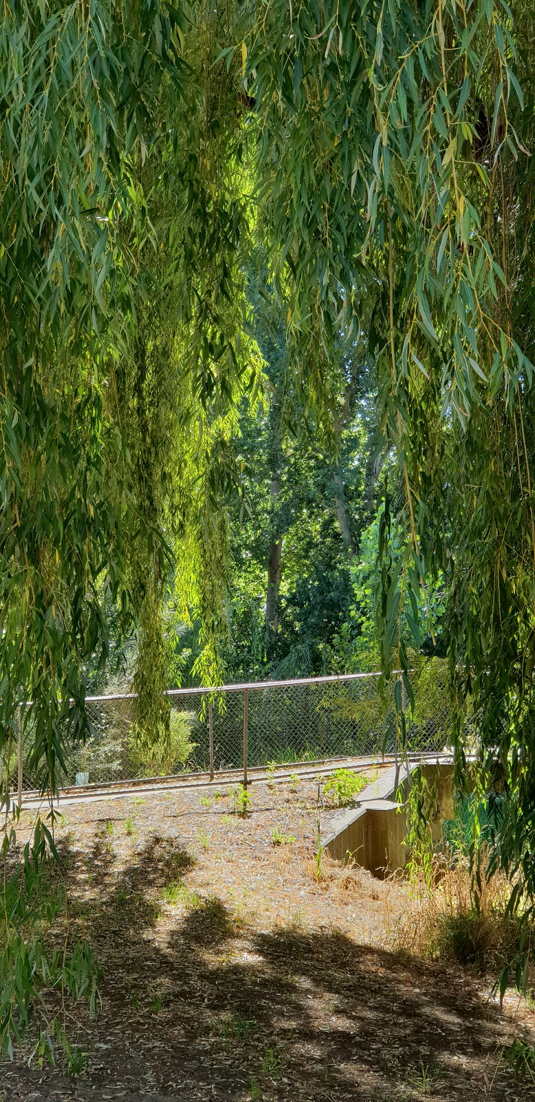 Susan Campbell Reserve | park | Wodonga VIC 3690, Australia