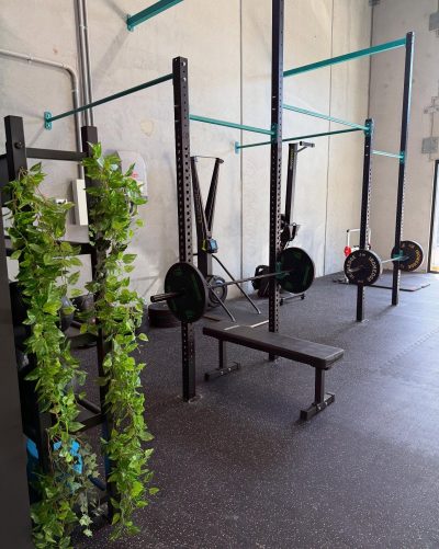 CHSC Performance Hub | Unit 5/43 Accolade Ave, Morisset NSW 2264, Australia | Phone: 49705447