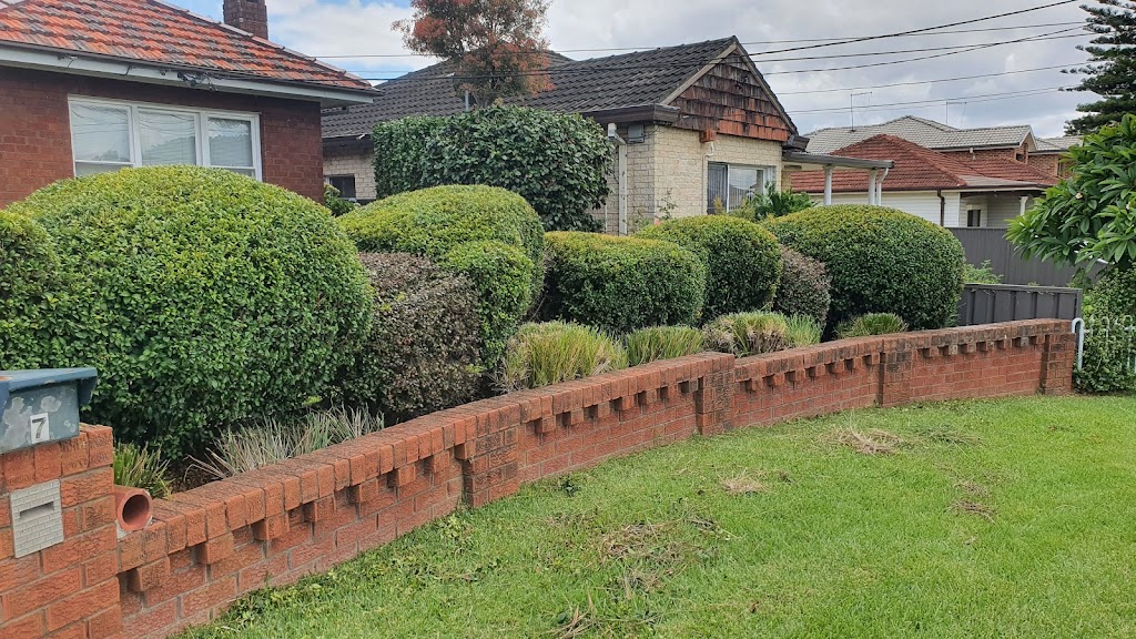 feature trees & perfection hedging | 3, Winston Hills NSW 2153, Australia | Phone: 0430 529 619