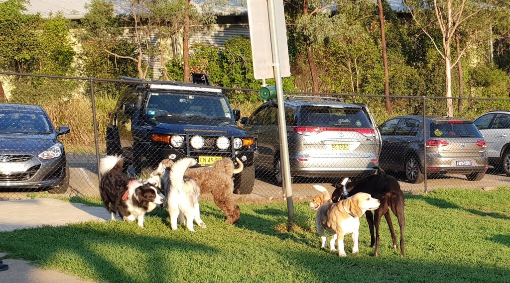 Greenway Dog Park | 36 Shepherds Dr, Cherrybrook NSW 2126, Australia | Phone: (02) 9847 6666