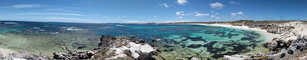 Eastern Osprey Nest | Parker Point Rd, Rottnest Island WA 6161, Australia