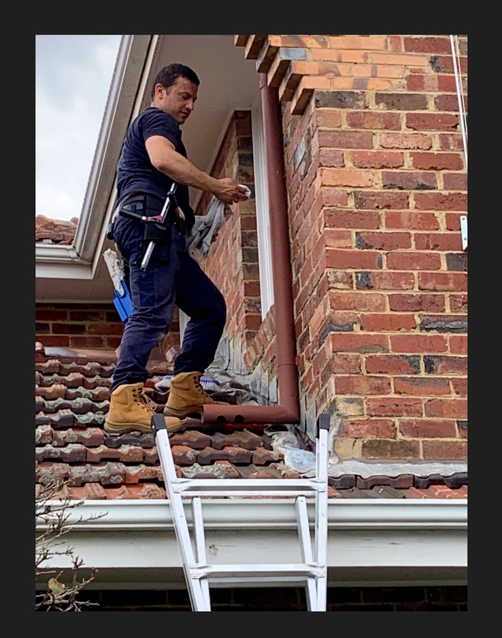 MARZ Window Cleaning | 27 Templewood Cres, Avondale Heights VIC 3034, Australia | Phone: 0425 864 605