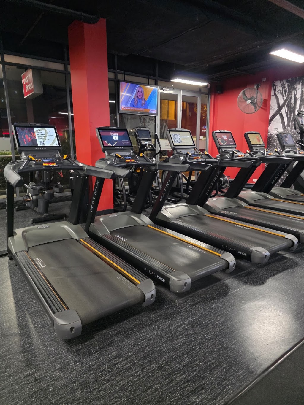 Fit Tone Femme - Personal Trainer Heidelberg & Online | Shop 2 & 3/40 Burgundy St, Heidelberg VIC 3084, Australia | Phone: 0458 864 440