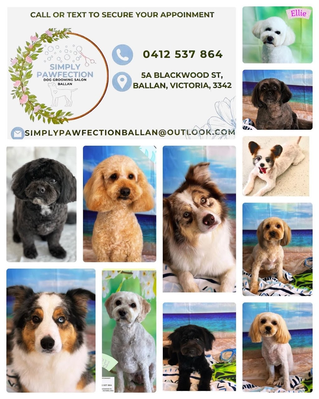 Simply Pawfection Dog Grooming Salon - Ballan | 5A Blackwood St, Ballan VIC 3342, Australia | Phone: 0412 537 864