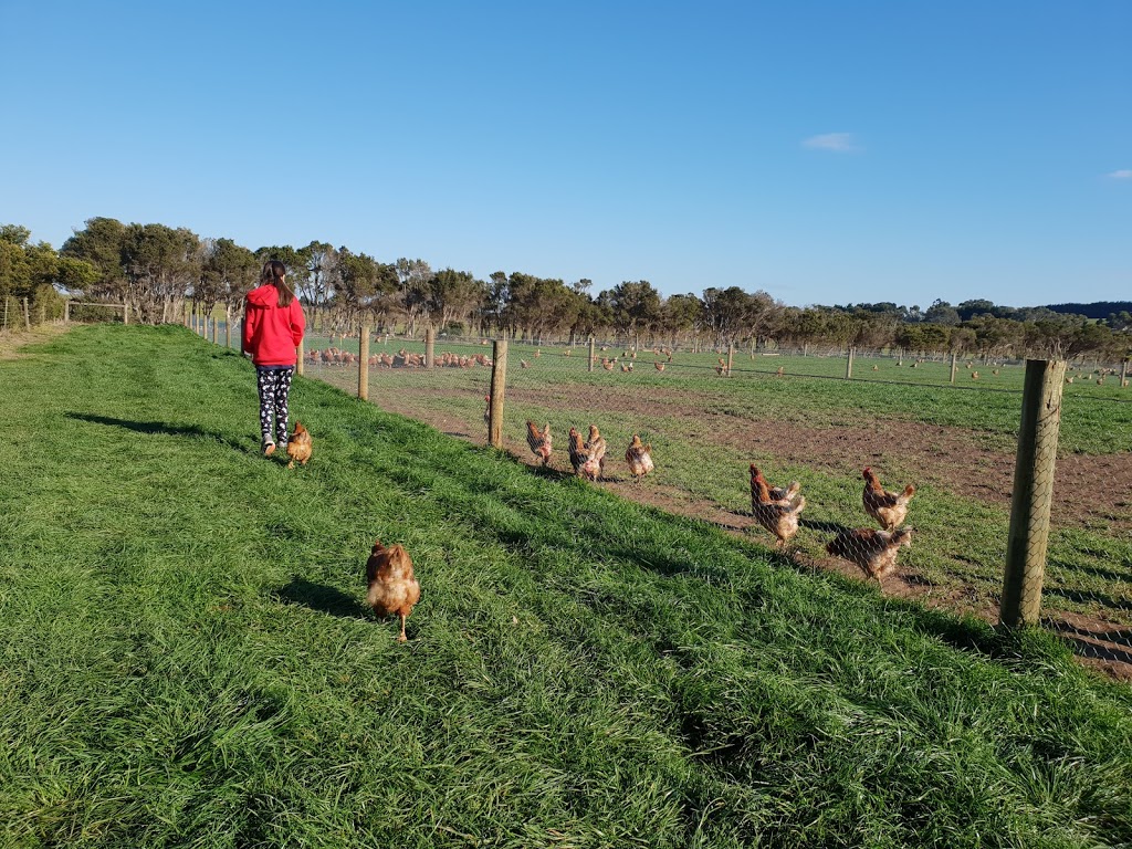 Bimbadeen Phillip Island | 550 Back Beach Rd, Ventnor VIC 3922, Australia | Phone: 0409 167 001