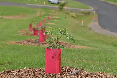 Maleny District Sport and Recreation Club | Maleny Sports Park, Parklands Drive via, Porters Ln, Maleny QLD 4552, Australia | Phone: 0438 779 601