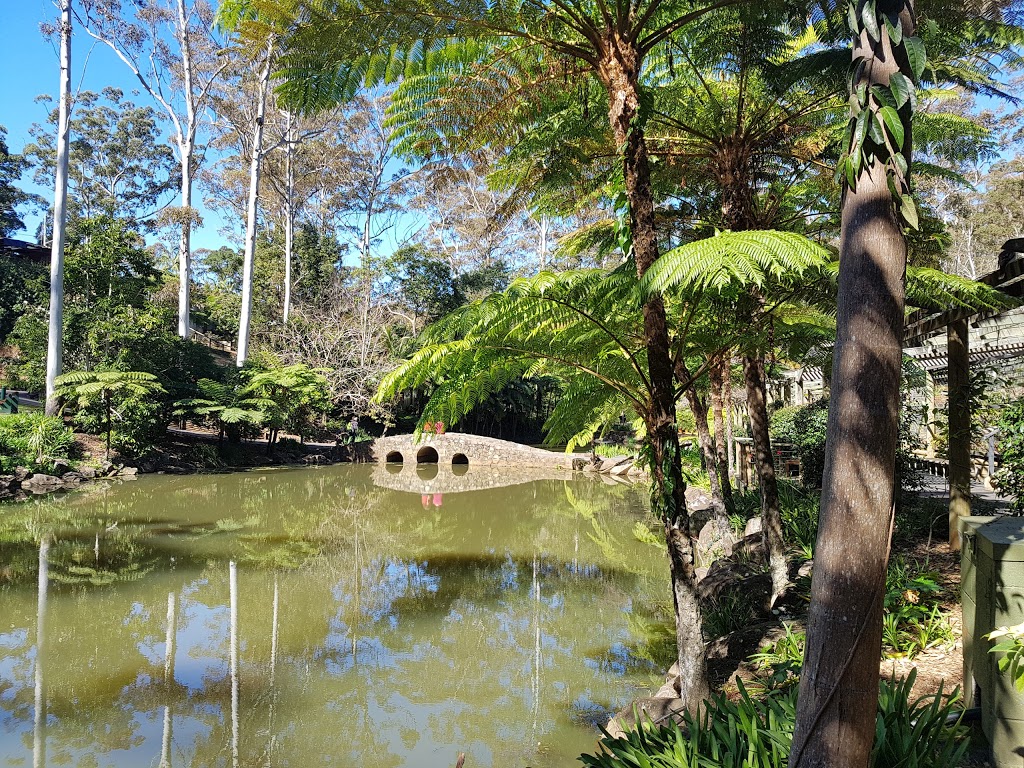 Tamborine Mountain Botanic Gardens | park | Forsythia Dr, Tamborine Mountain QLD 4272, Australia